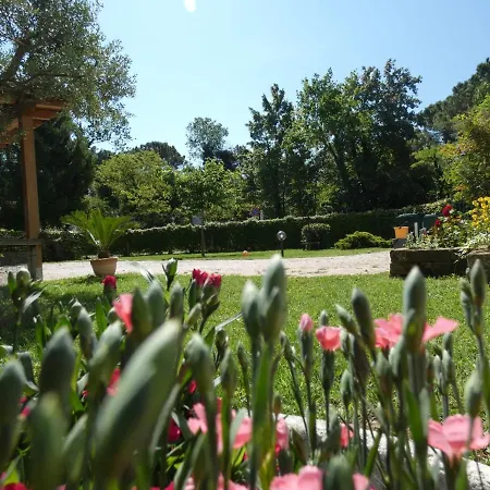 Apartman Antonella's *